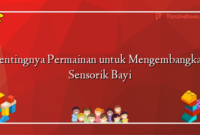 Pentingnya Permainan untuk Mengembangkan Sensorik Bayi