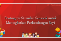 Pentingnya Stimulasi Sensorik untuk Meningkatkan Perkembangan Bayi